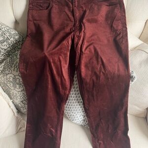 LOFT Women's Burgundy Pants